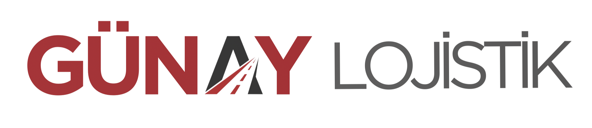 Günay Lojistik Logo